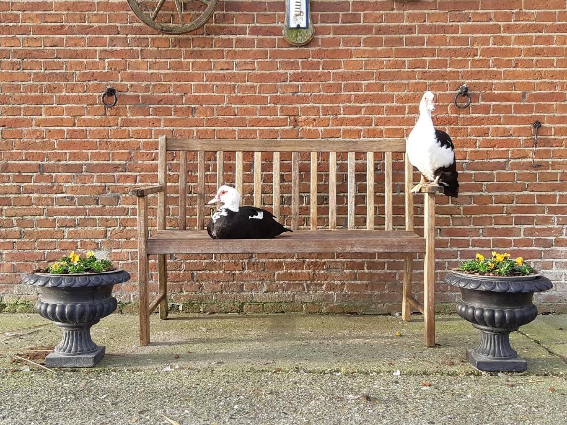 Wol Thus Paesens Exterior foto